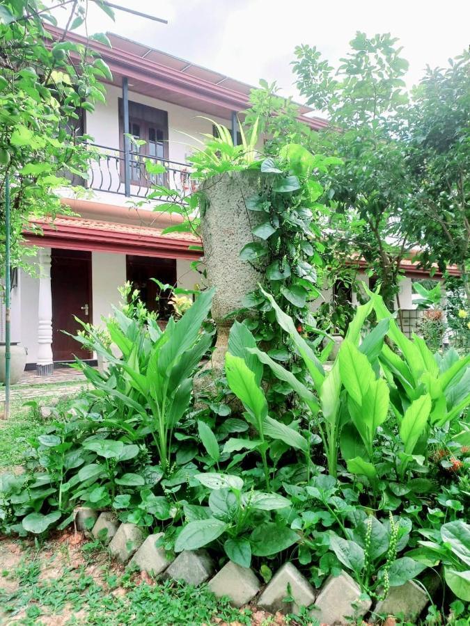 Dinu Lanka Resort Katunayaka Exterior photo